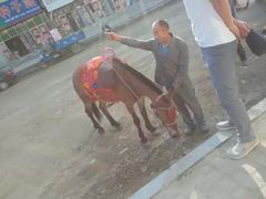 -大连步云山老汤度假山庄