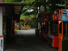 -三亚火车头万人海鲜广场