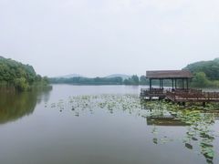 -上海市保健医疗中心