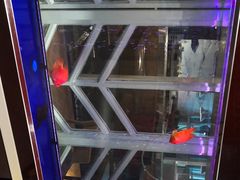 -比格比萨自助(国展店)