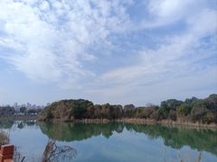 -艾溪湖湿地公园
