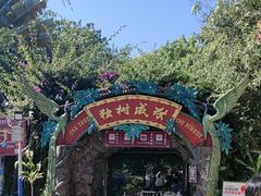 -瑞丽独树成林风景区