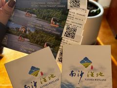 -大湾区中央湿地公园