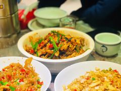 -壹盏灯(惠农店)