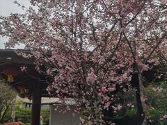 -汤山一号温泉度假区