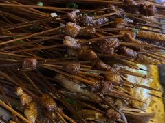 -乐山长药老地方油炸串串(峨眉四中店)