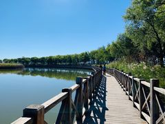 -野鸭湖国家湿地公园