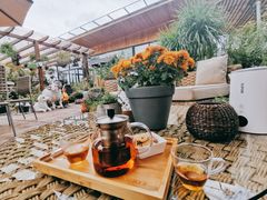 -大隐花事(熊婆婆的花园店)