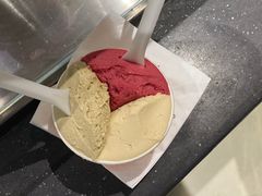 -Dip in Gelato(富民路店)