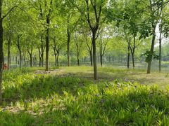 -东郊湿地公园