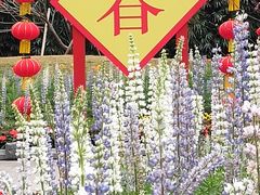 -晓港公园