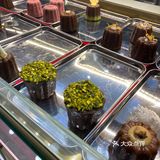 可露丽