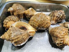 -杨记海鲜楼(三门黑金冠店)
