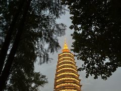 -红梅公园