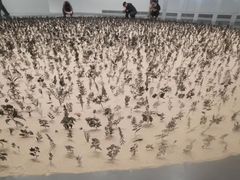 -中国美术学院-美术馆