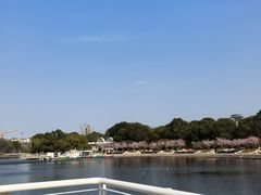 -新江湾城公园