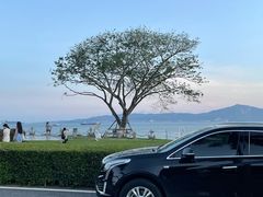 -白城沙滩