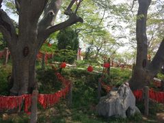-焦作青龙峡风景名胜区