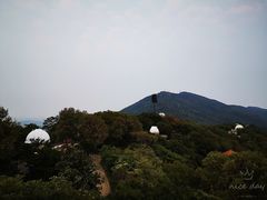 -紫金山天文台