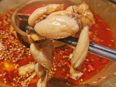 -哥老官重庆美蛙鱼头(龙湖杭州金沙天街店)