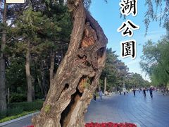 -长春市南湖公园