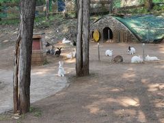 -紫海香堤香草艺术庄园