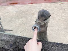 -杭州野生动物世界