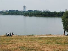 -灞河西岸滨河公园