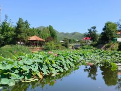 -静之湖度假区