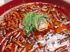 -丰收日(五角场店)