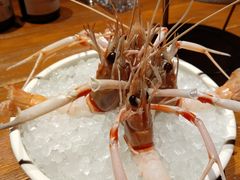 -普朗姆生蚝吧(原建国路店)