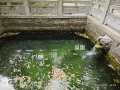 -四门塔风景区
