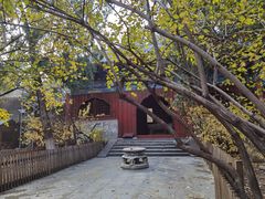 -大觉寺-停车场