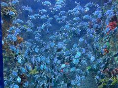 -海合安青岛极地海洋公园