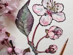 -八哥美术·成人美术画室(总校区)