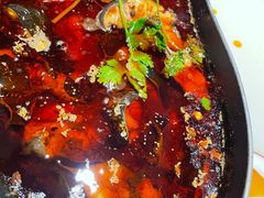 梭边鱼辣-新辣道鱼火锅(西直门店)