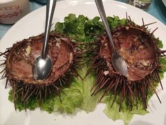 -大连湾旭日·家宴·海肠捞饭(马栏广场店)