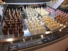 -Patagonia Chocolates(皇后镇店)