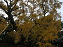 -无锡惠山寺