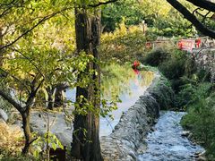 -石磨豆花家常菜·牦牛排土火锅