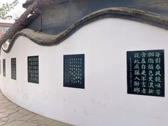 -桃花堤公园