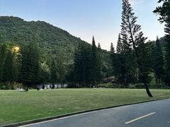 -深圳仙湖植物园