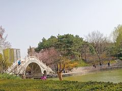 -团结湖公园