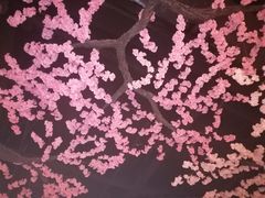 -蓝鲸湾汤泉(包河店)