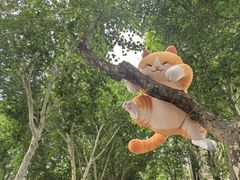 -西安电影制片厂