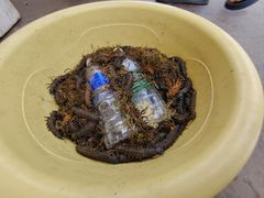 -南坛综合农贸市场