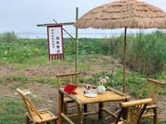 -莲花岛景区