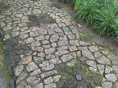 -秋霞圃