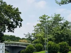 -云溪植物园