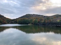 -白马涧龙池景区